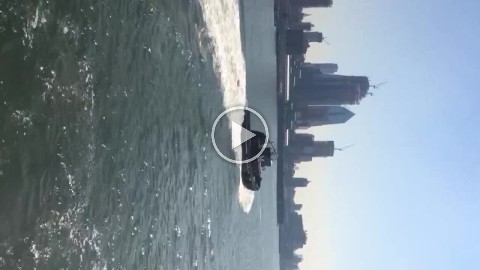 2017-09-25_13-16-36