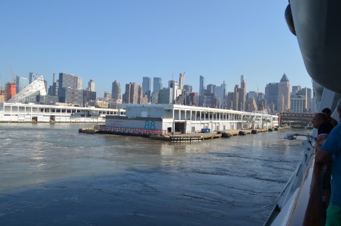 DSC_1900