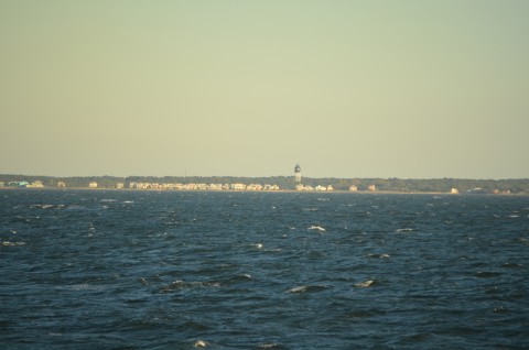 DSC_2191