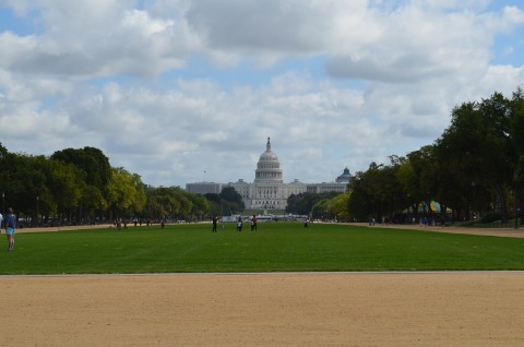 DSC_2036