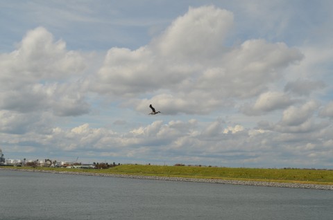 DSC_2305