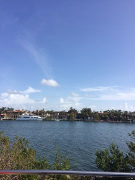 2017-10-01_09-45-25