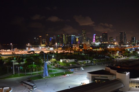 DSC_2341
