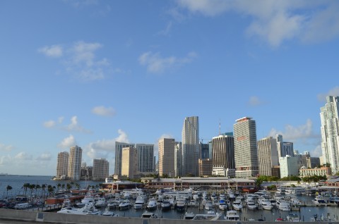 DSC_2353