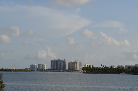 DSC_2371