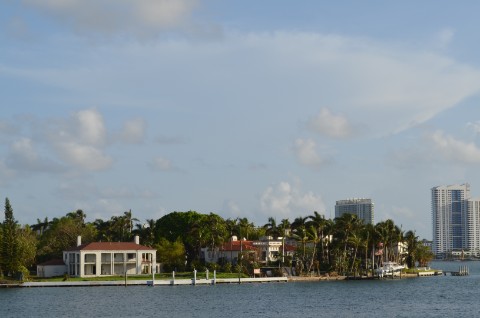 DSC_2374