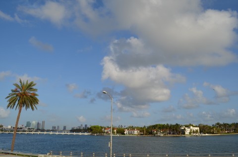 DSC_2376