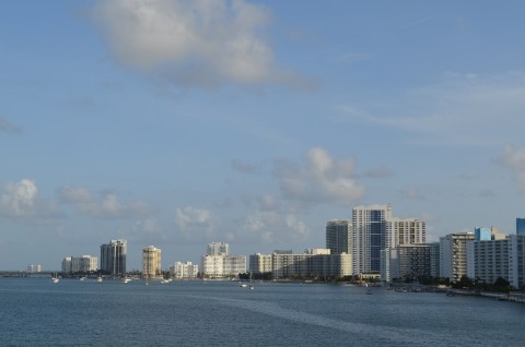 DSC_2377