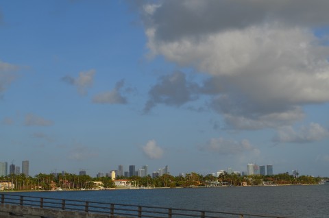 DSC_2378