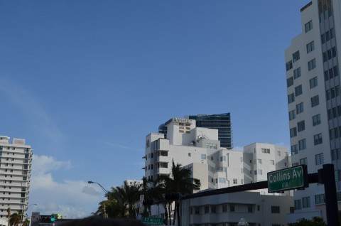 DSC_2417
