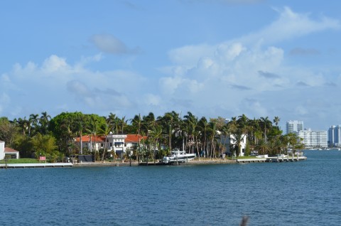 DSC_2439