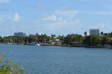 DSC_2441