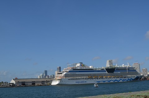 DSC_2447