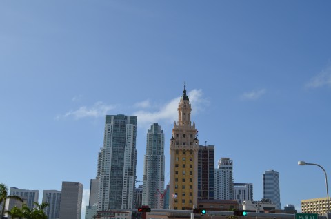 DSC_2463
