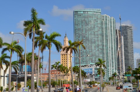 DSC_2470