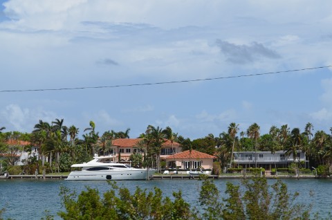DSC_2500