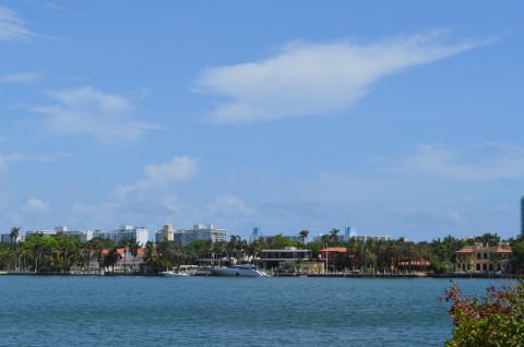 DSC_2503