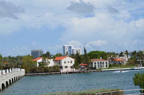 DSC_2505