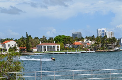 DSC_2507