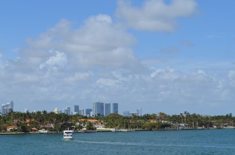 DSC_2514
