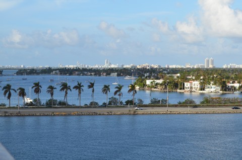 DSC_2534