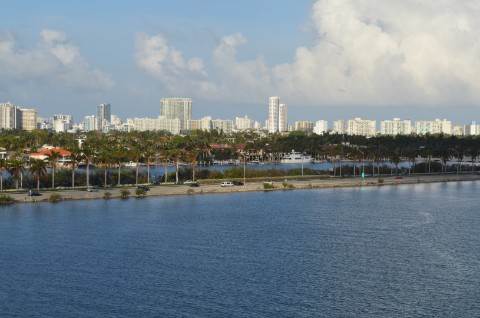 DSC_2535