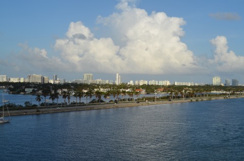 DSC_2539