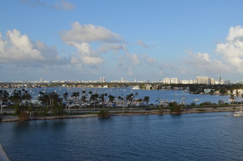 DSC_2541