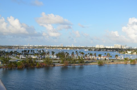 DSC_2542