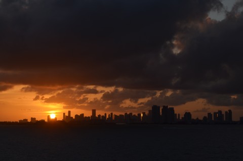 DSC_2557