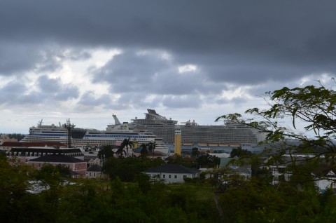 DSC_2578