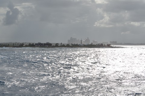 DSC_2702