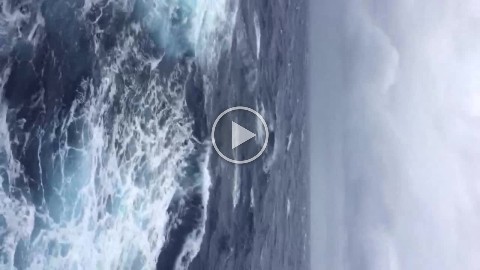 2017-10-03_08-14-53