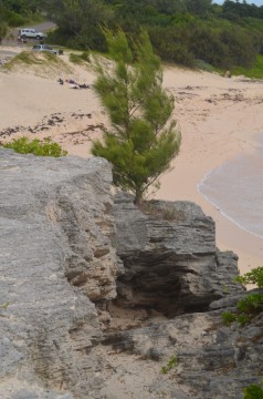DSC_2840