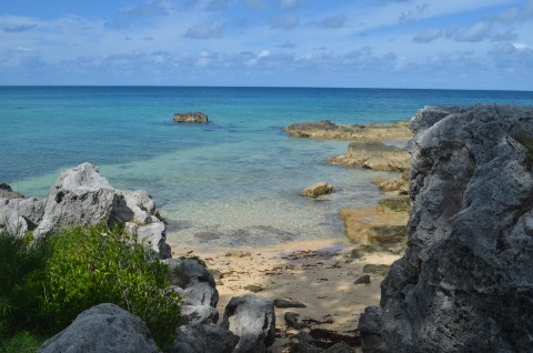 DSC_2867
