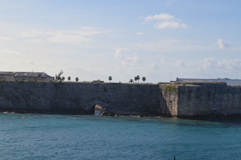 DSC_2901