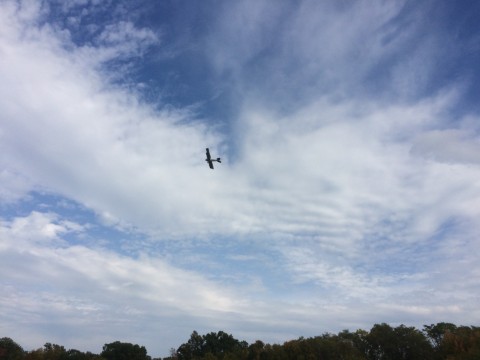 2017-10-07_15-04-36