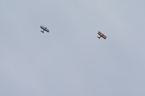 DSC_3038