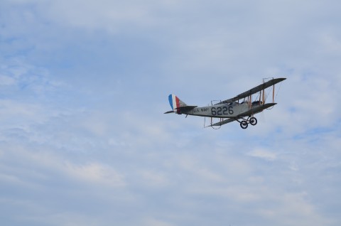 DSC_3184