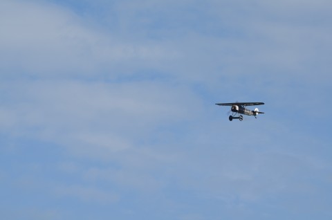 DSC_3223
