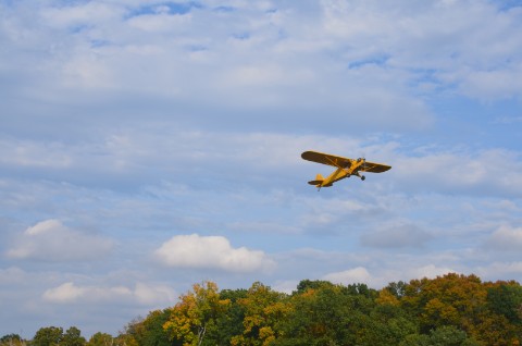 DSC_3281