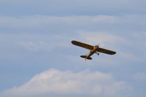 DSC_3306