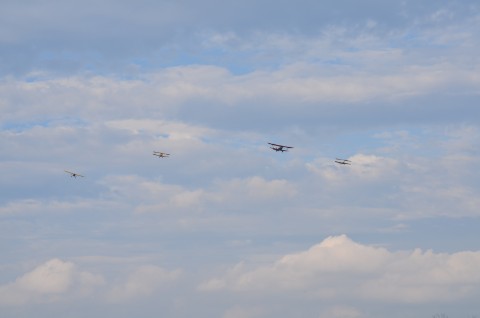 DSC_3374