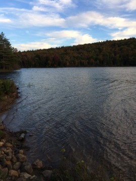 2017-10-08_17-49-46