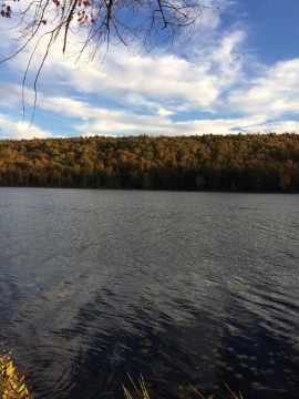 2017-10-08_17-52-58