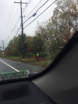 2017-10-09_15-50-28