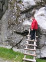 IMG_0785
