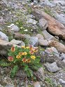 IMG_0911
