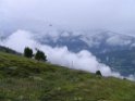 IMG_0981