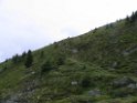 IMG_0984